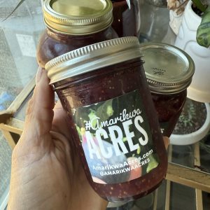 Black Mission Fig Preserve 8oz | reFIGured