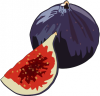 Fig